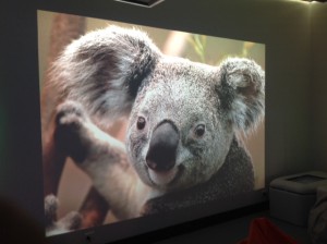 Both Epson projectors on using edge blending technology to create an impressive 5m wide by 2m high image