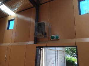 Ashwood School GYM - Australian Monitor AM XRS8P Powered speakers (med)