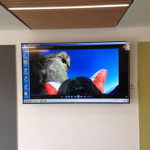 Phillips display for new building digital signage