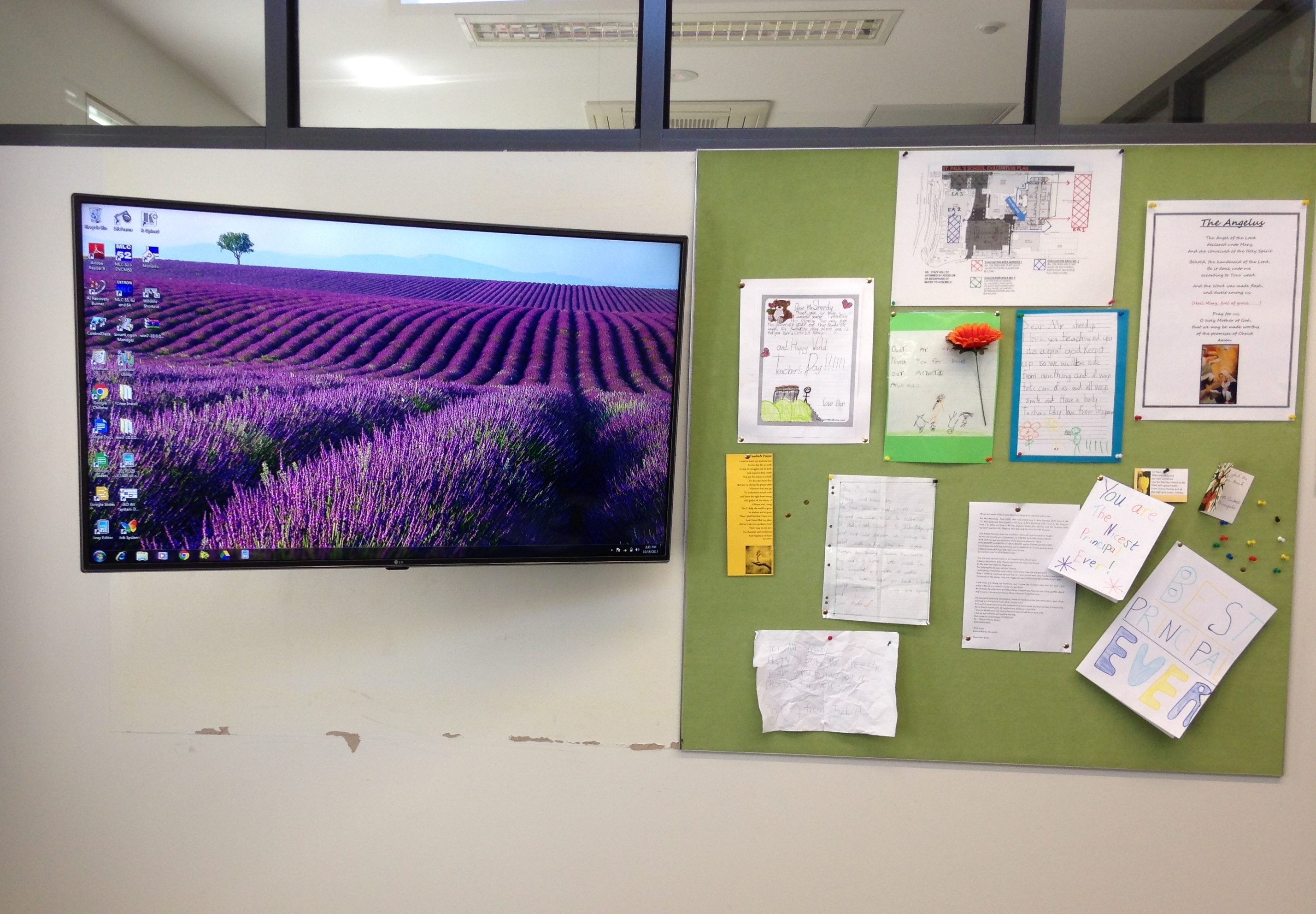49" full HD LG Commercial Lite monitor at St Paul's Primary School